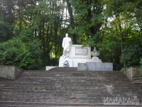 в Тисо-самшит роще