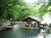 кафе и пруд