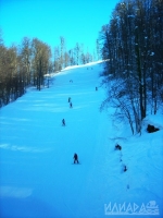 лыжня